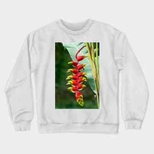 rbs hanging lobster claw Crewneck Sweatshirt